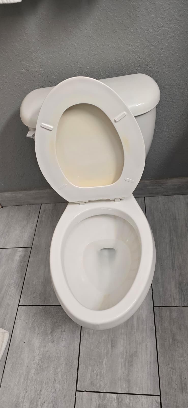 the bathroom in our room was disgusting