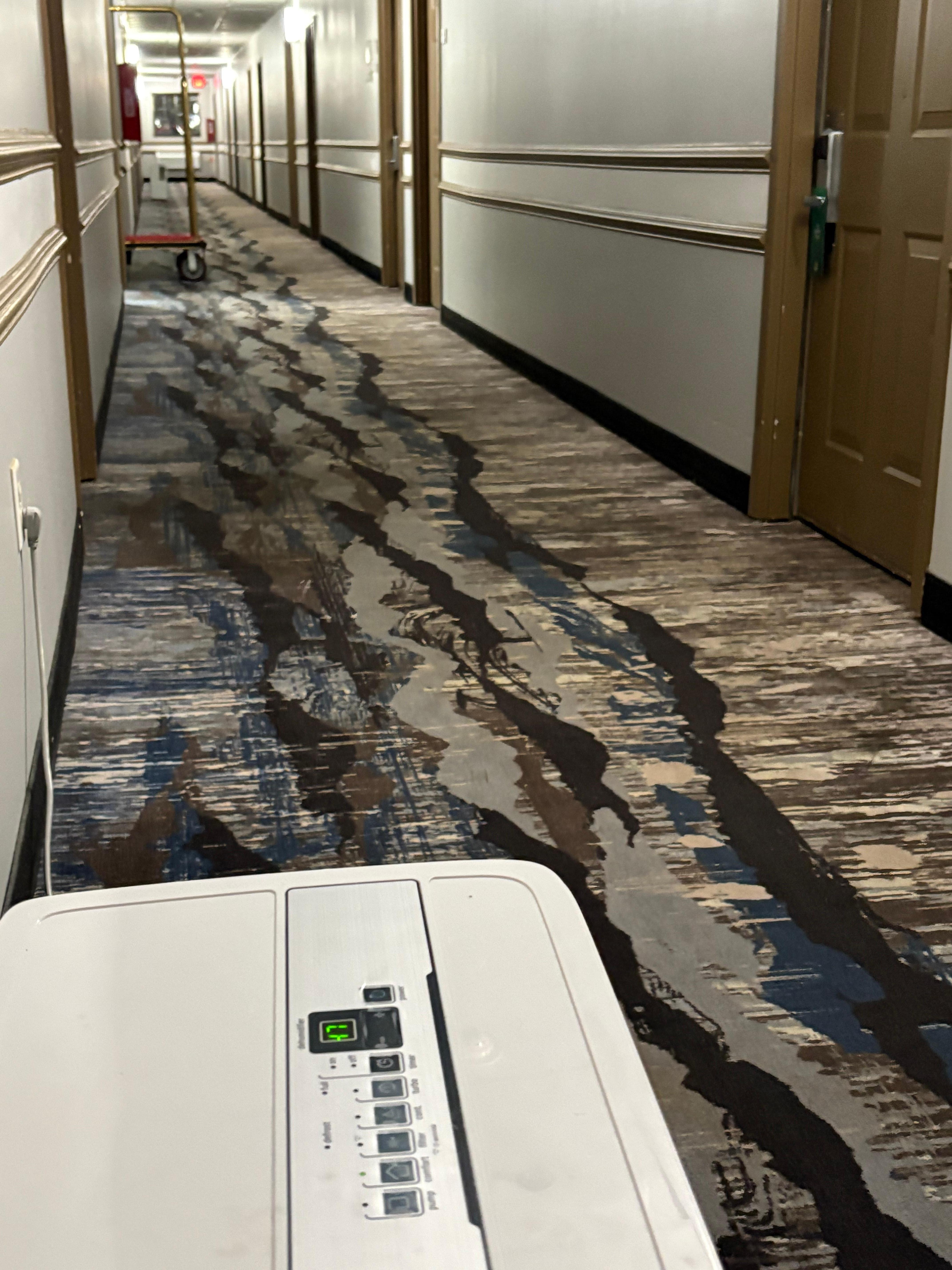 Two dehumidifiers in 1st floor hall-one past the luggage carrier