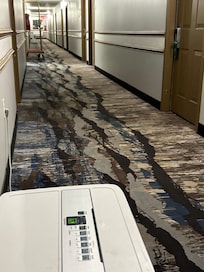 Two dehumidifiers in 1st floor hall-one past the luggage carrier