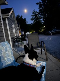 Porch chairs