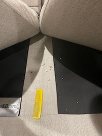 Hair comb and dirt underneath the couch cushions