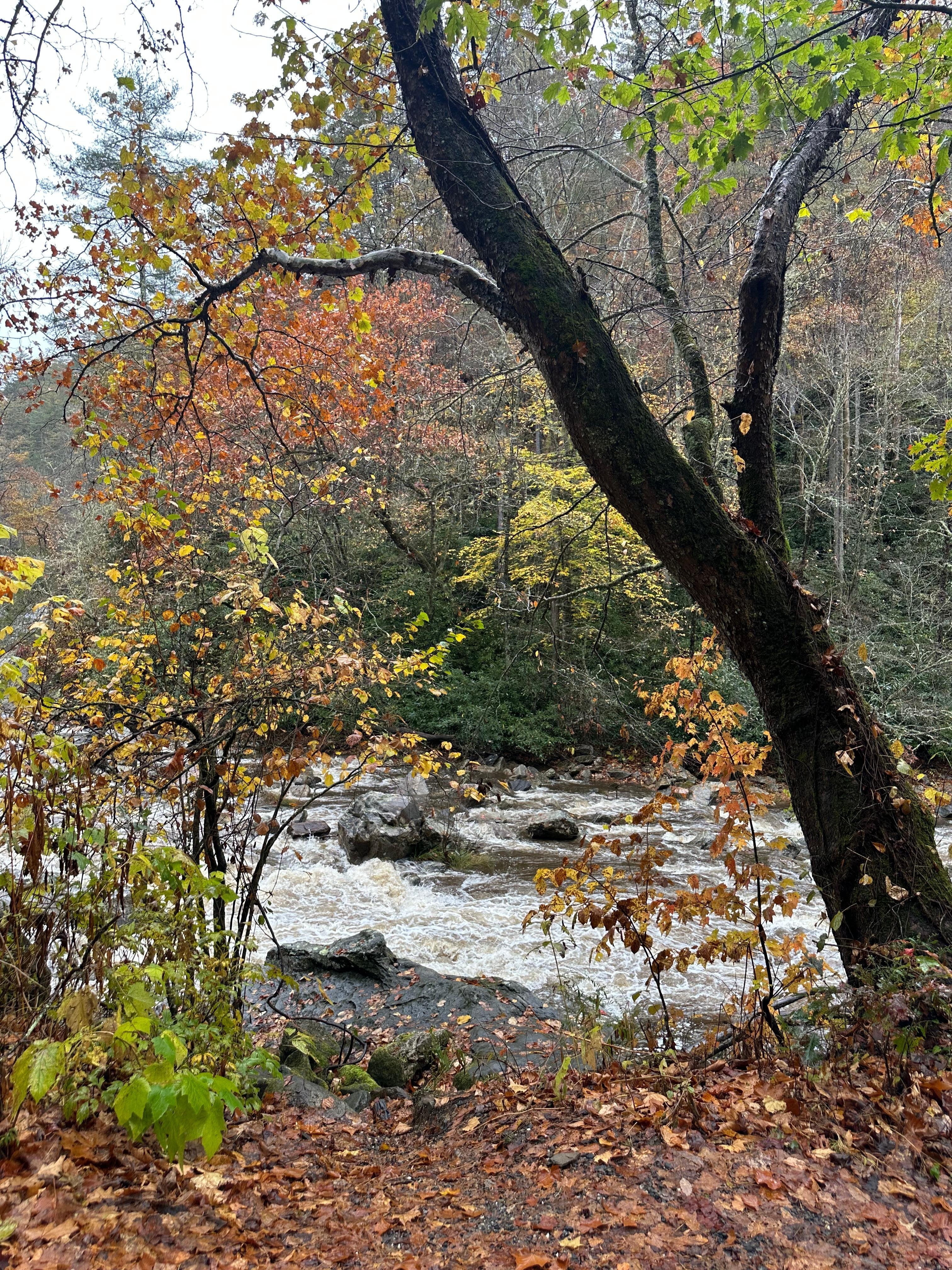 Surrounding areas to explore