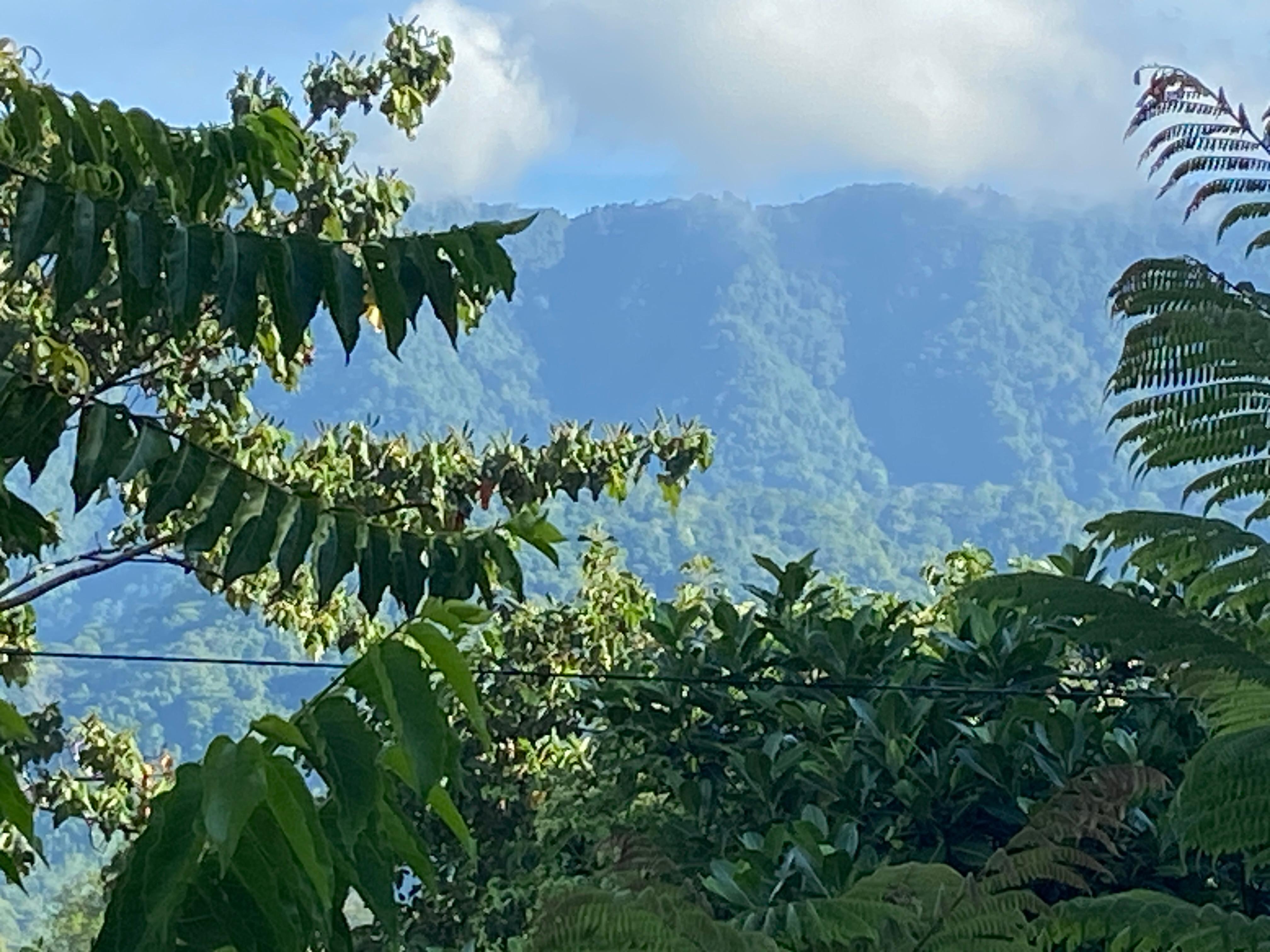 Superbe vue sur la montagne que nous avions à la maison.