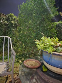 Beautiful sitting space outside the door.