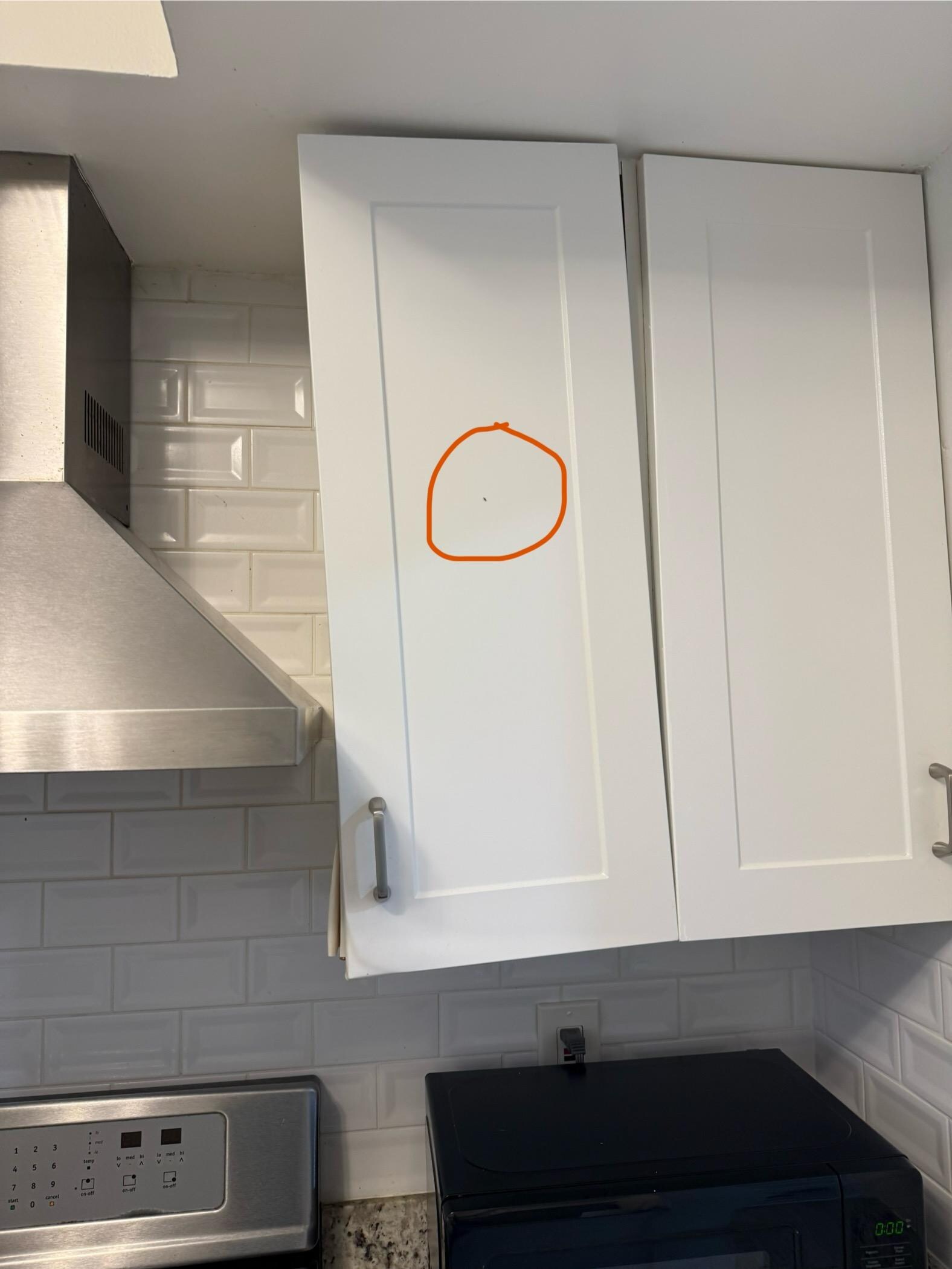 More bugs activity crawling in the kitchen along with broken cabinets. 