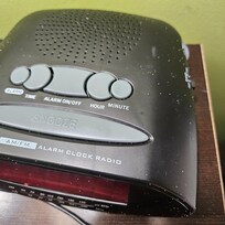 Tiny white bugs all over the nightstand!!!! They moved us rooms but didn't seem to care or really believe us.