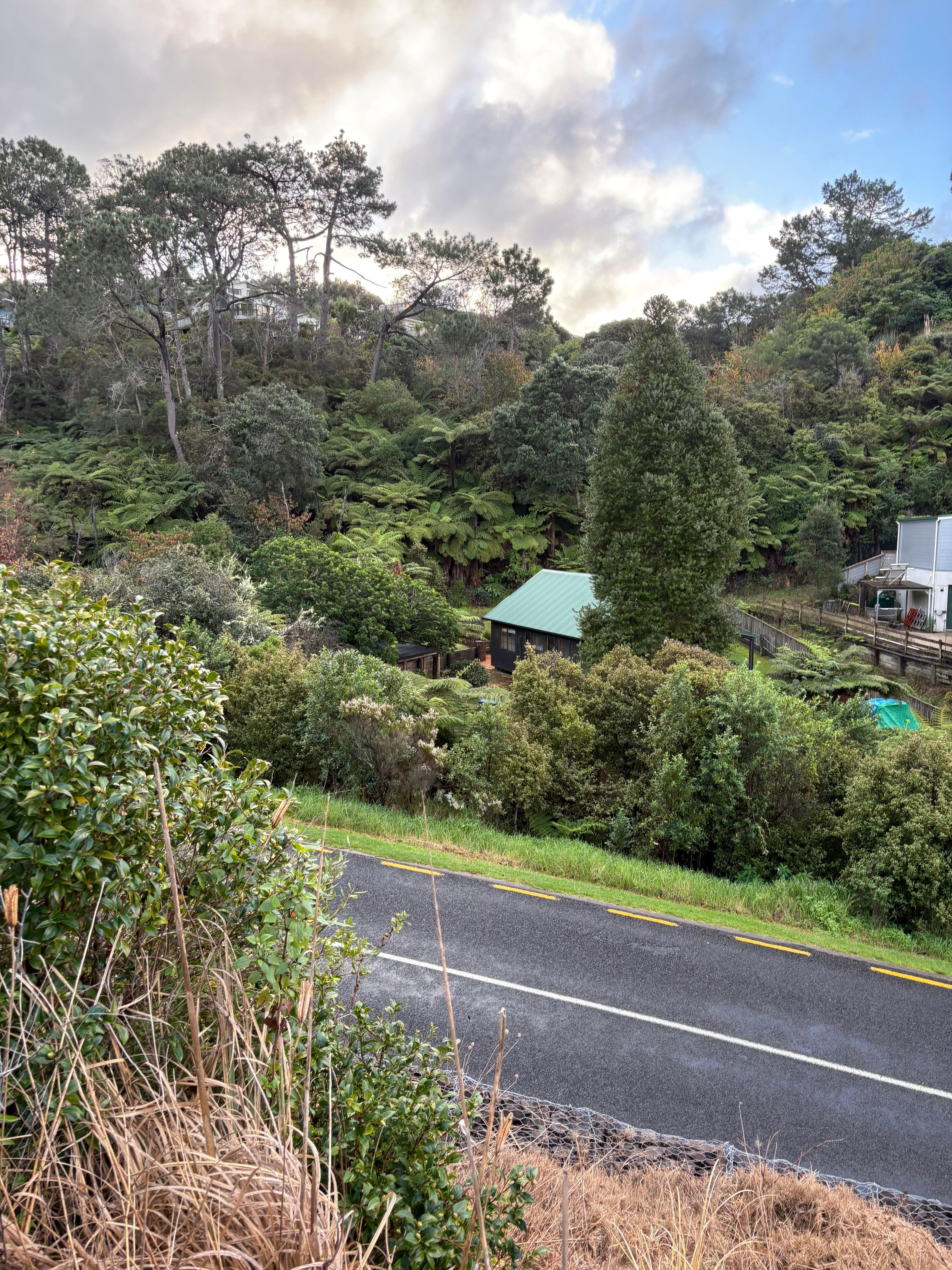 View from deck