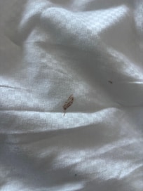 Unclean linen