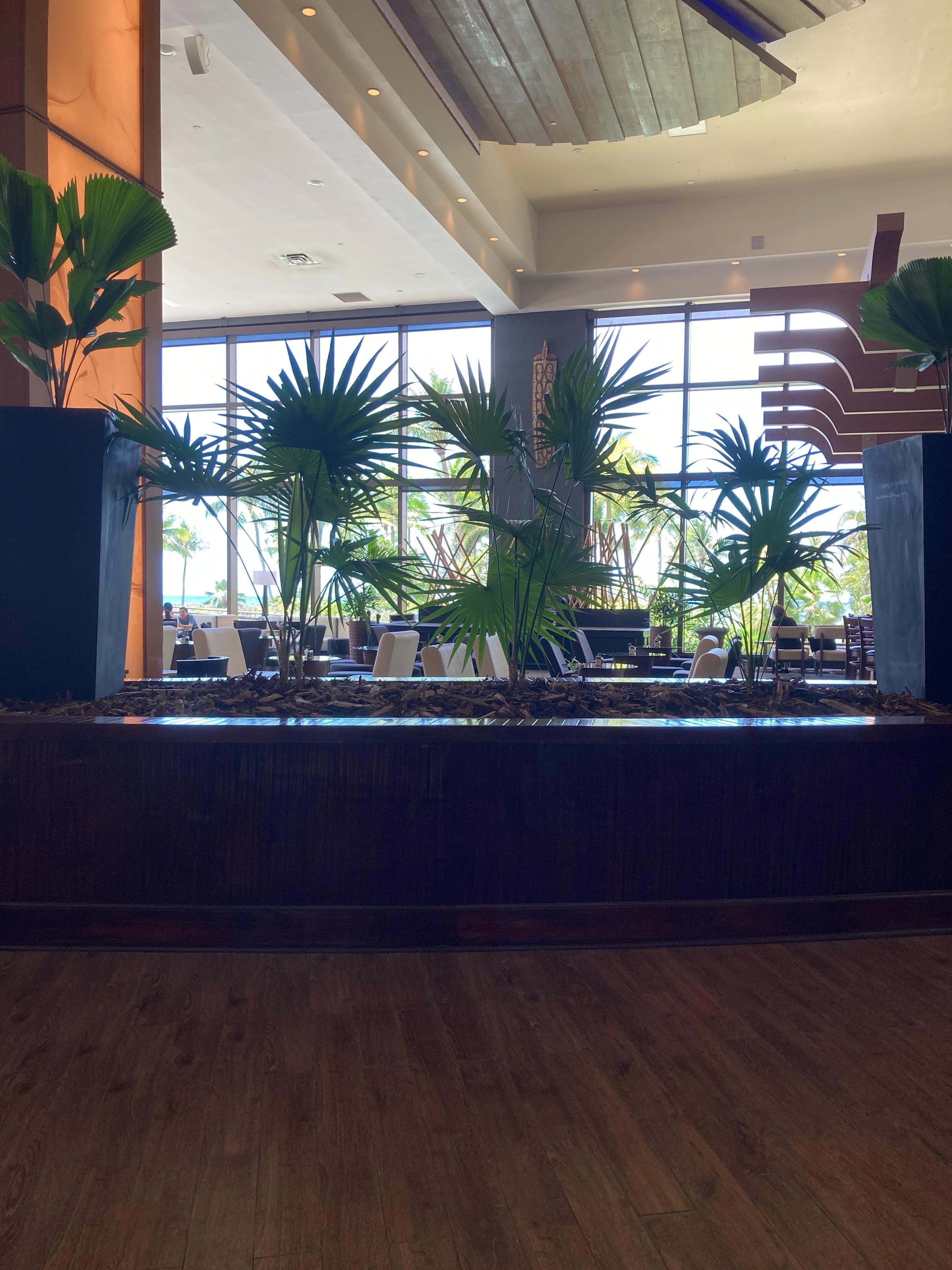 ロビーからの景色