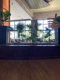 ロビーからの景色