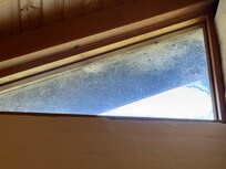 Spider webs on windows