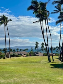 View on property grounds on way back from the beach.