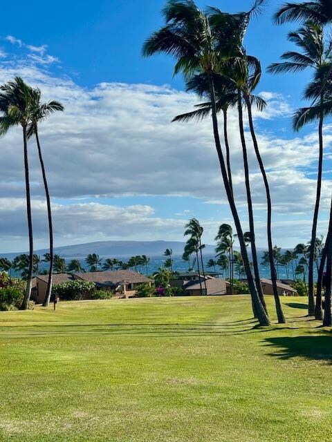 View on property grounds on way back from the beach.