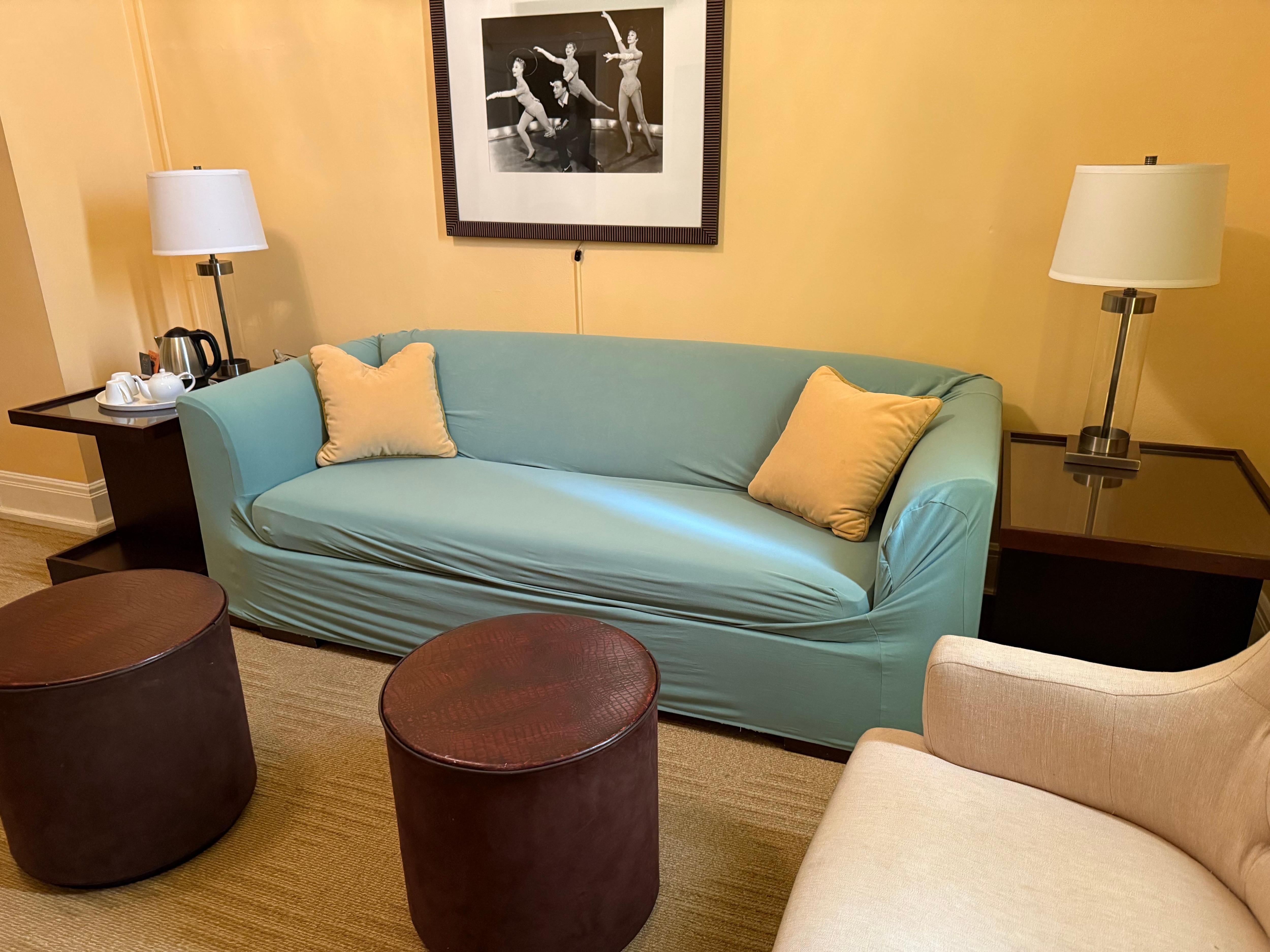 Cheap furniture covering - definitely worthy of a trailer park