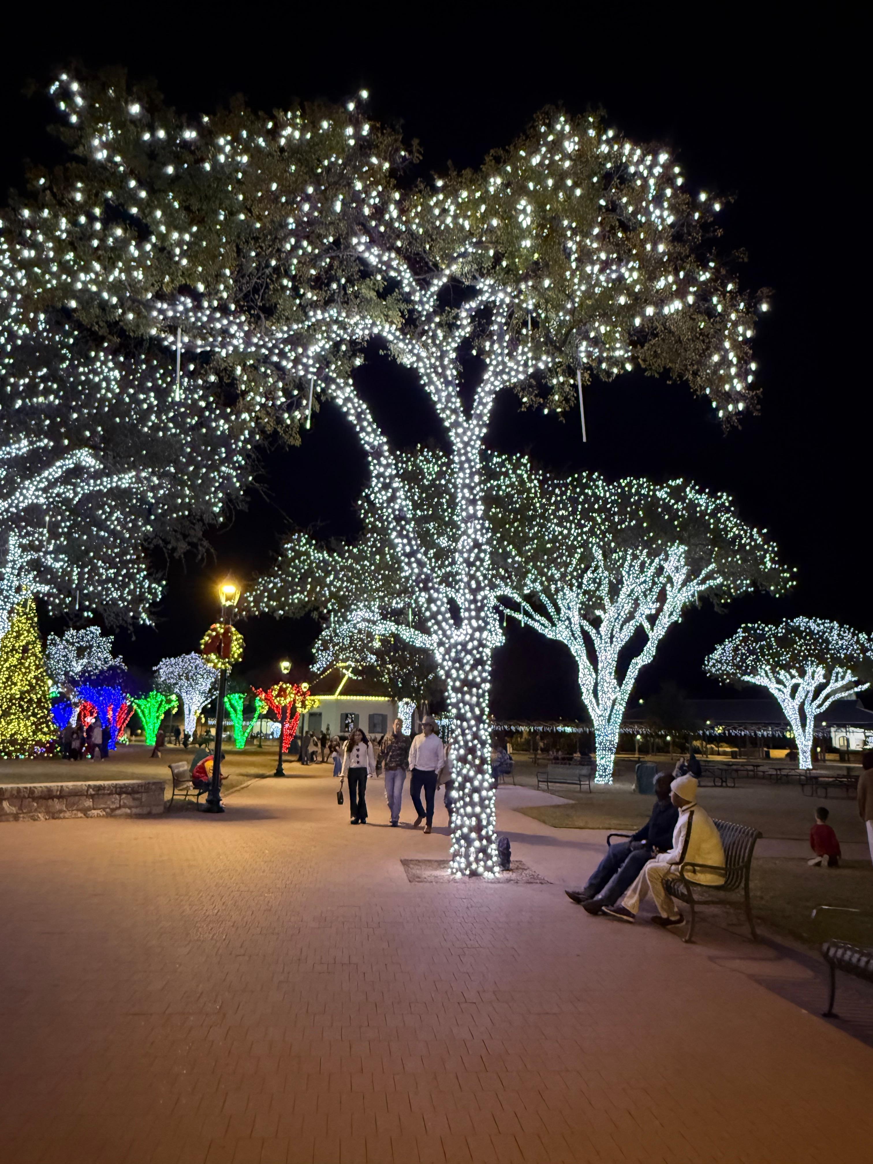 Amazing Christmas lights in the trees all around MarktPlatz