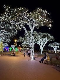 Amazing Christmas lights in the trees all around MarktPlatz