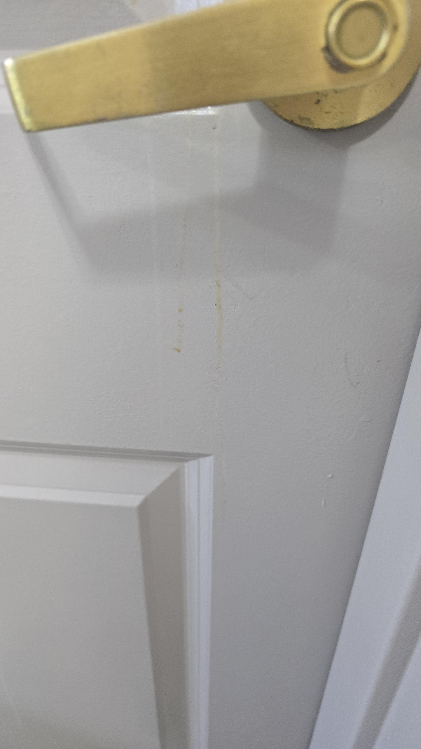 Some of the scum that was all over the room