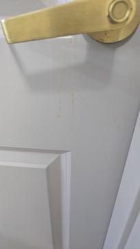 Some of the scum that was all over the room