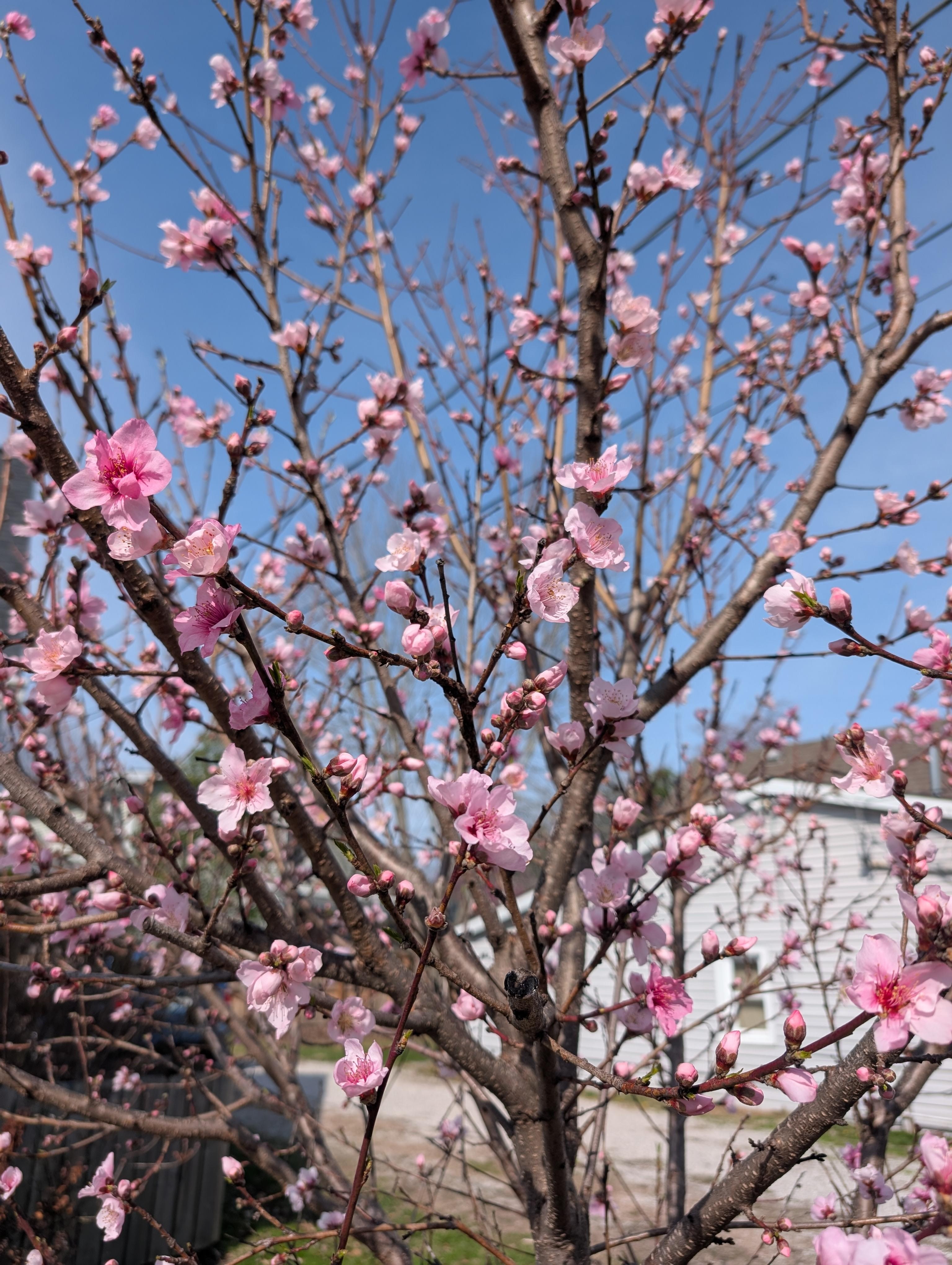 Spring was springing!