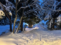 Vehicle is in the driveway. Photo taken at the rear door (main entrance) under the deck.