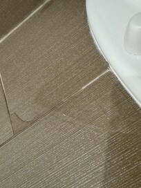 Water coming out of toilet