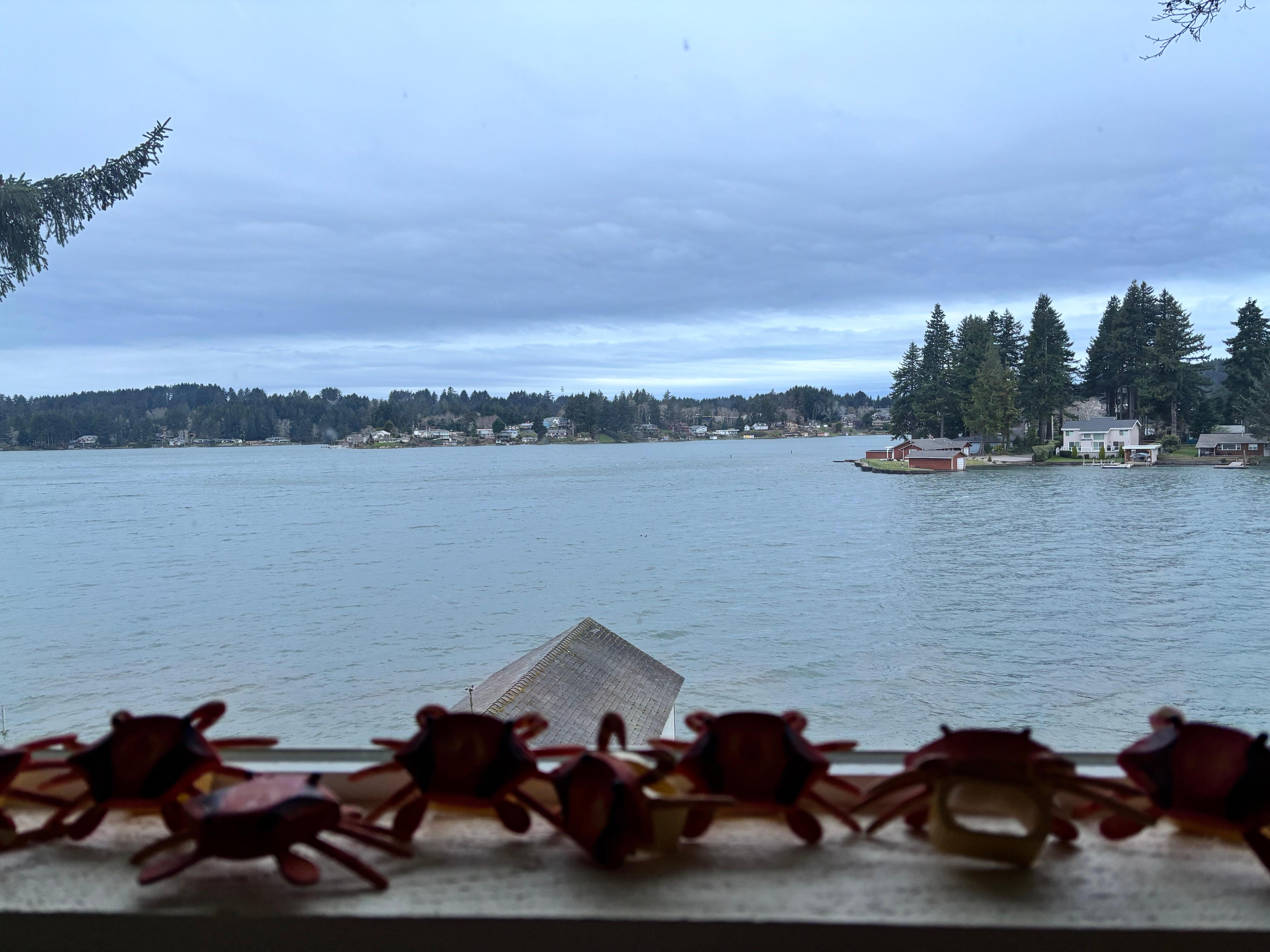 View from the kitchen 