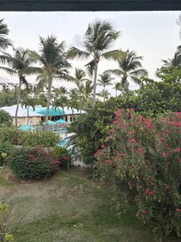 From the main living area view