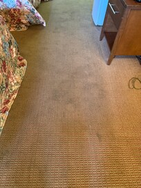 The carpet smells like it looks