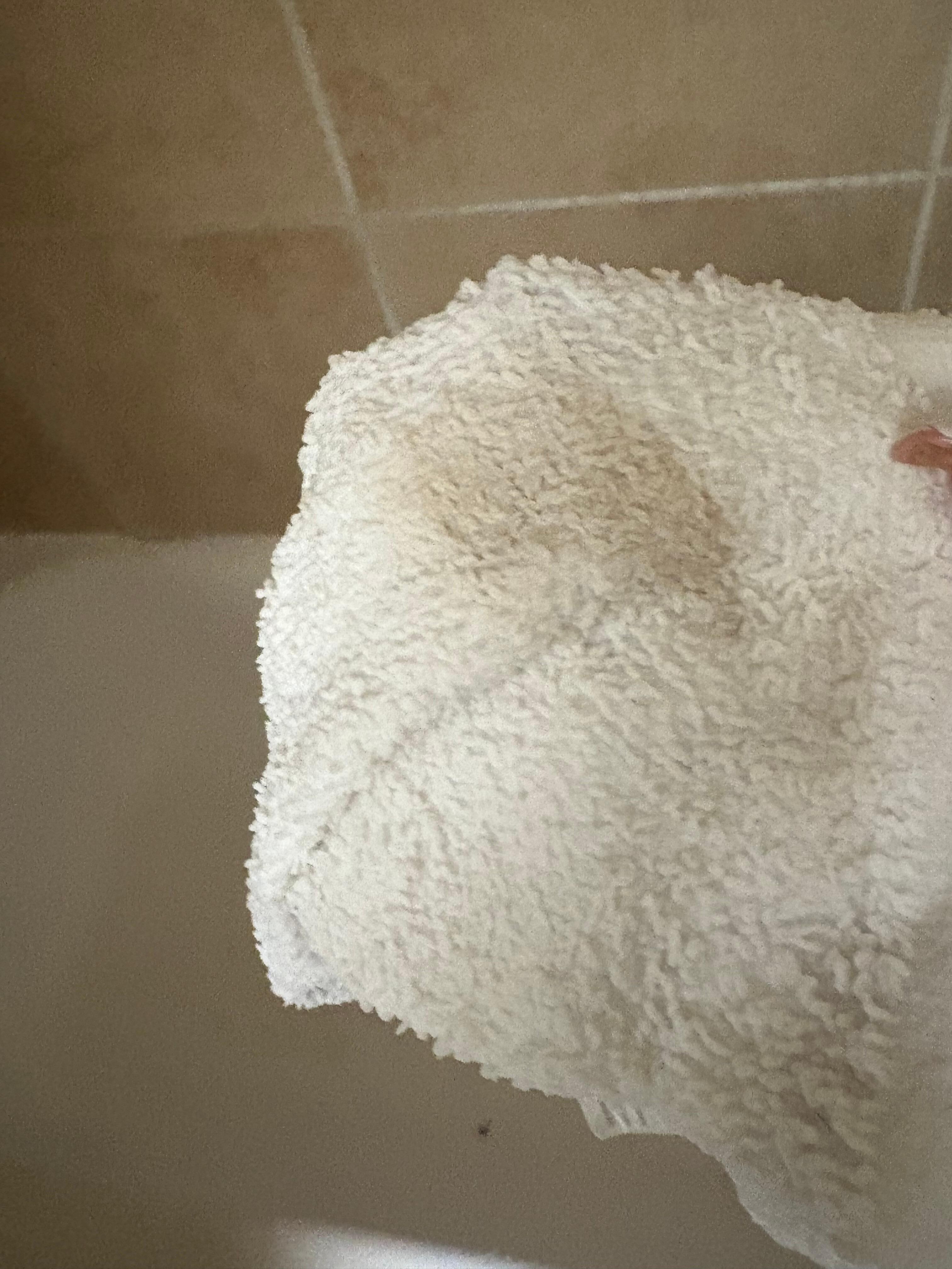 Tub — I ended up scrubbing it down with soap and water . 