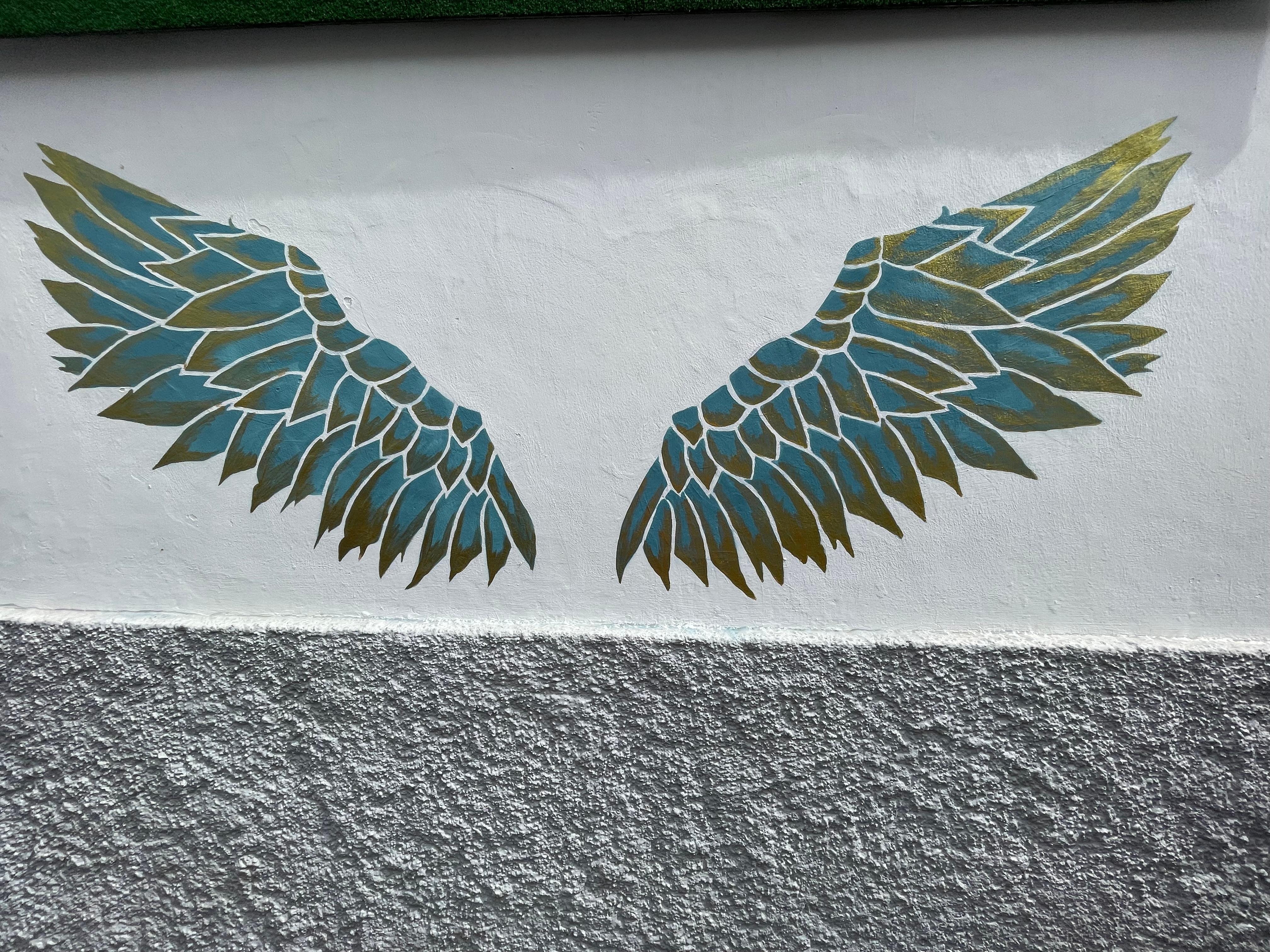 Sprayed wings outside the hostel 