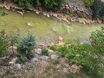 Creek behind the unit