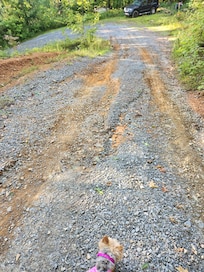 Washed out driveway