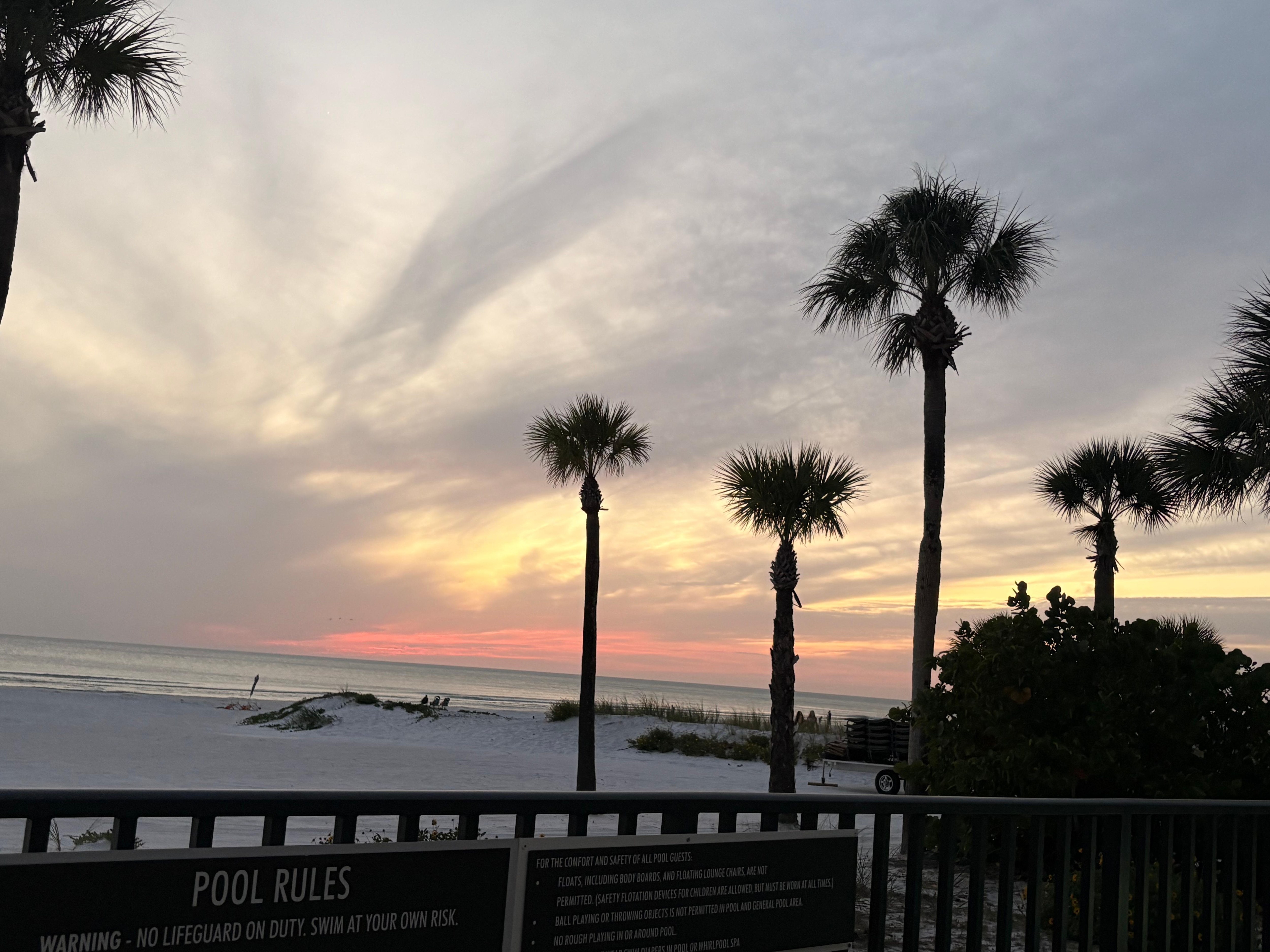View from the pool! 