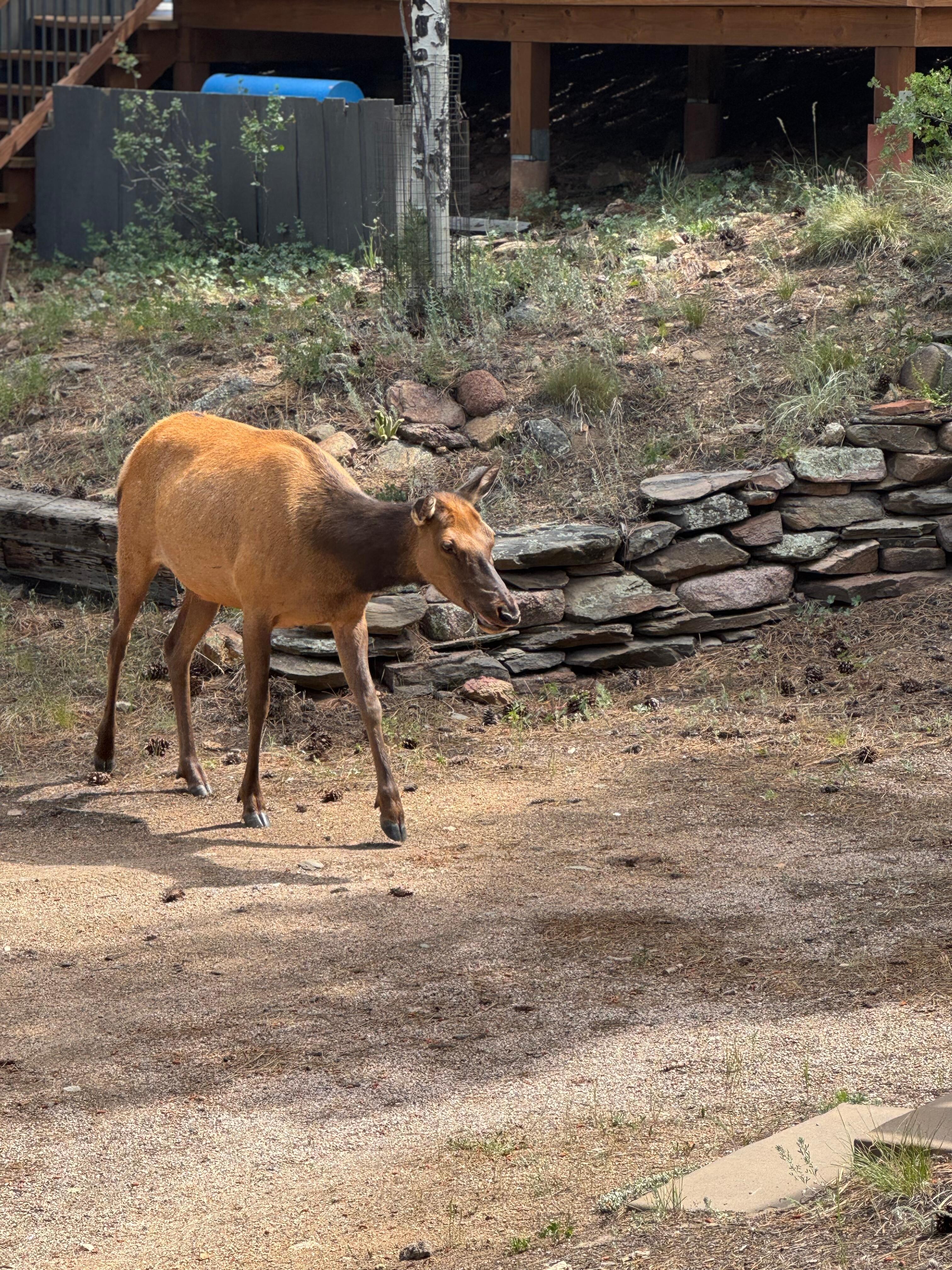Enjoying the locals. 