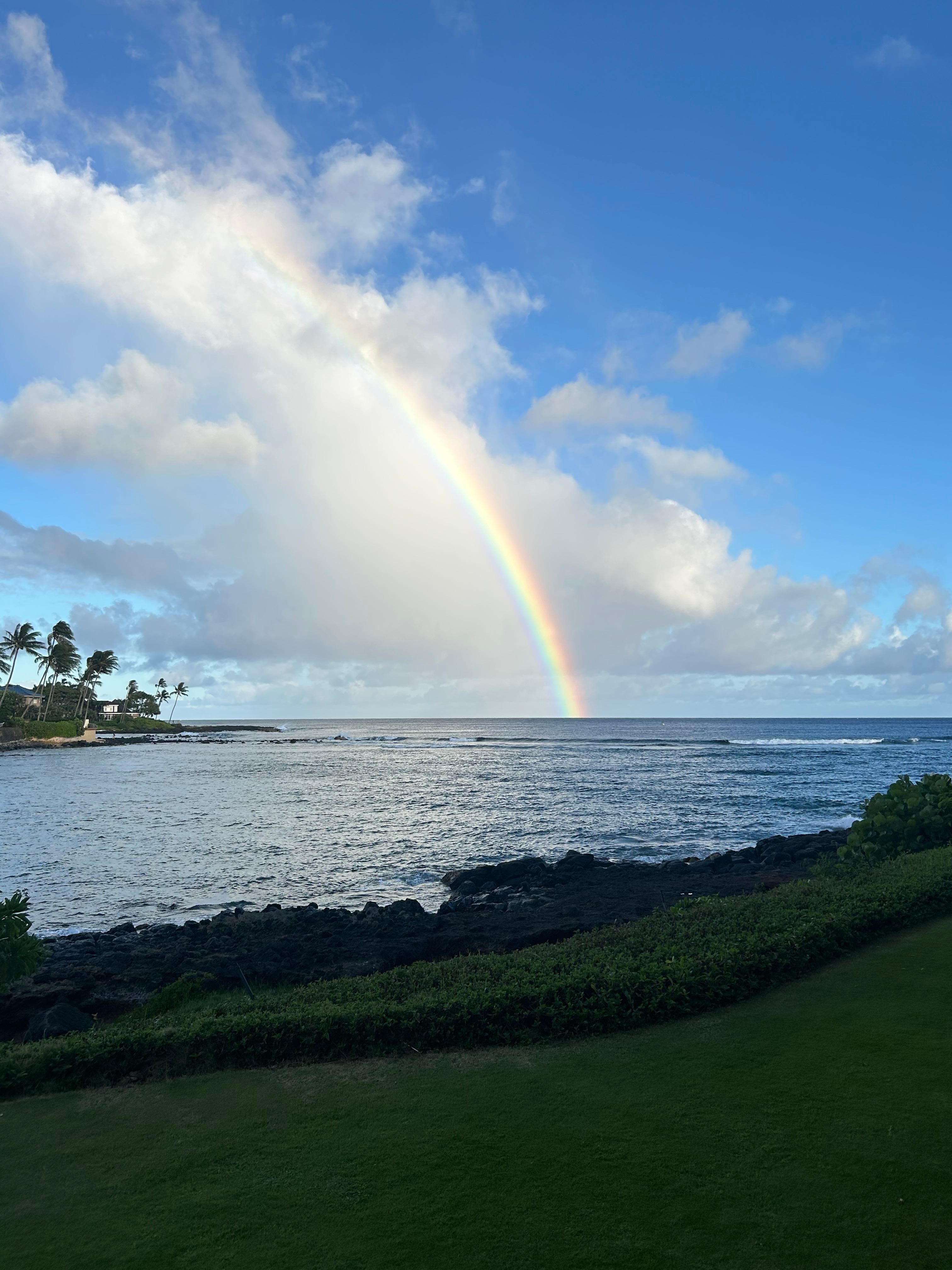 Rainbow from condo patio