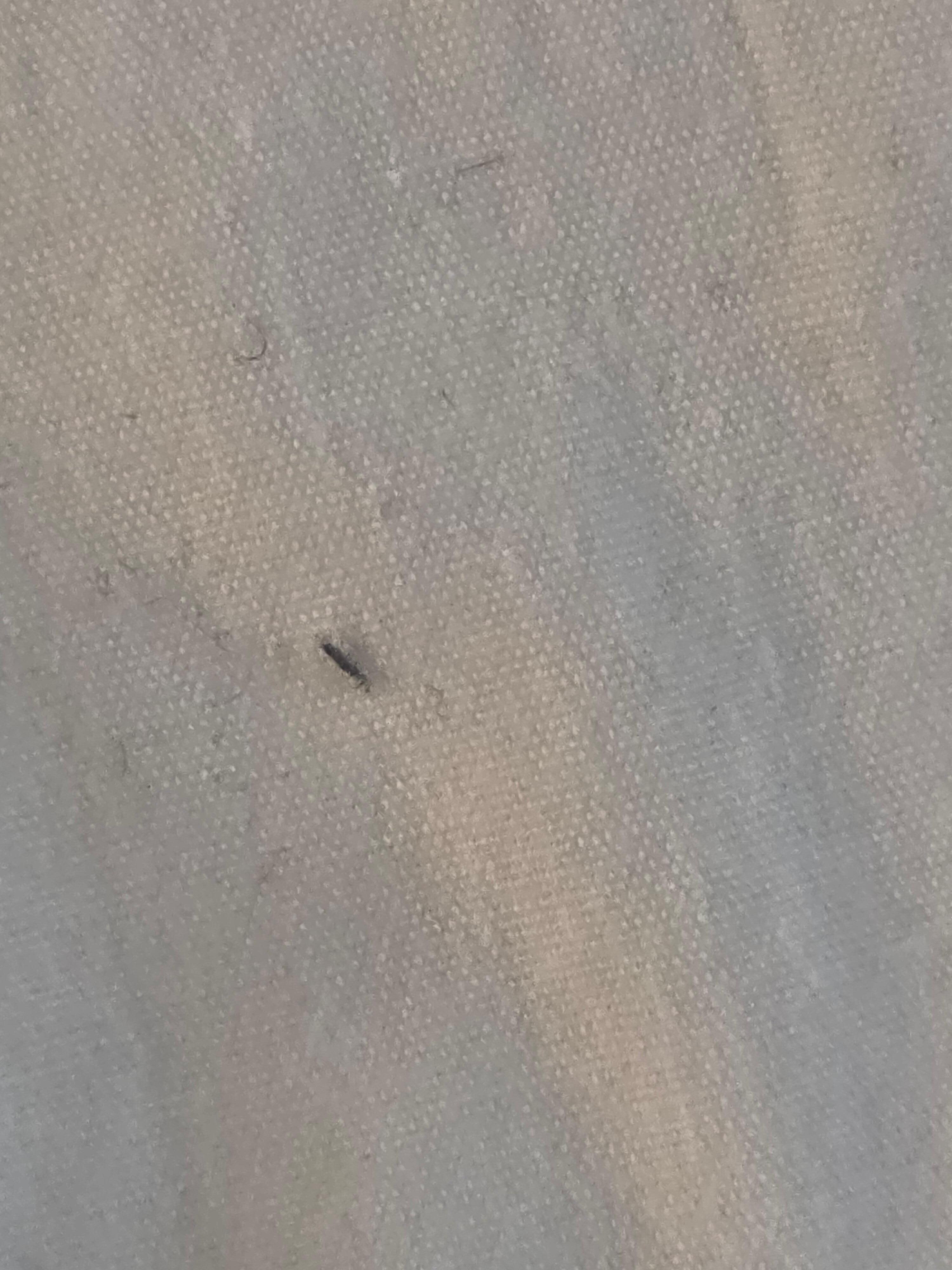 Bugs on the linen
