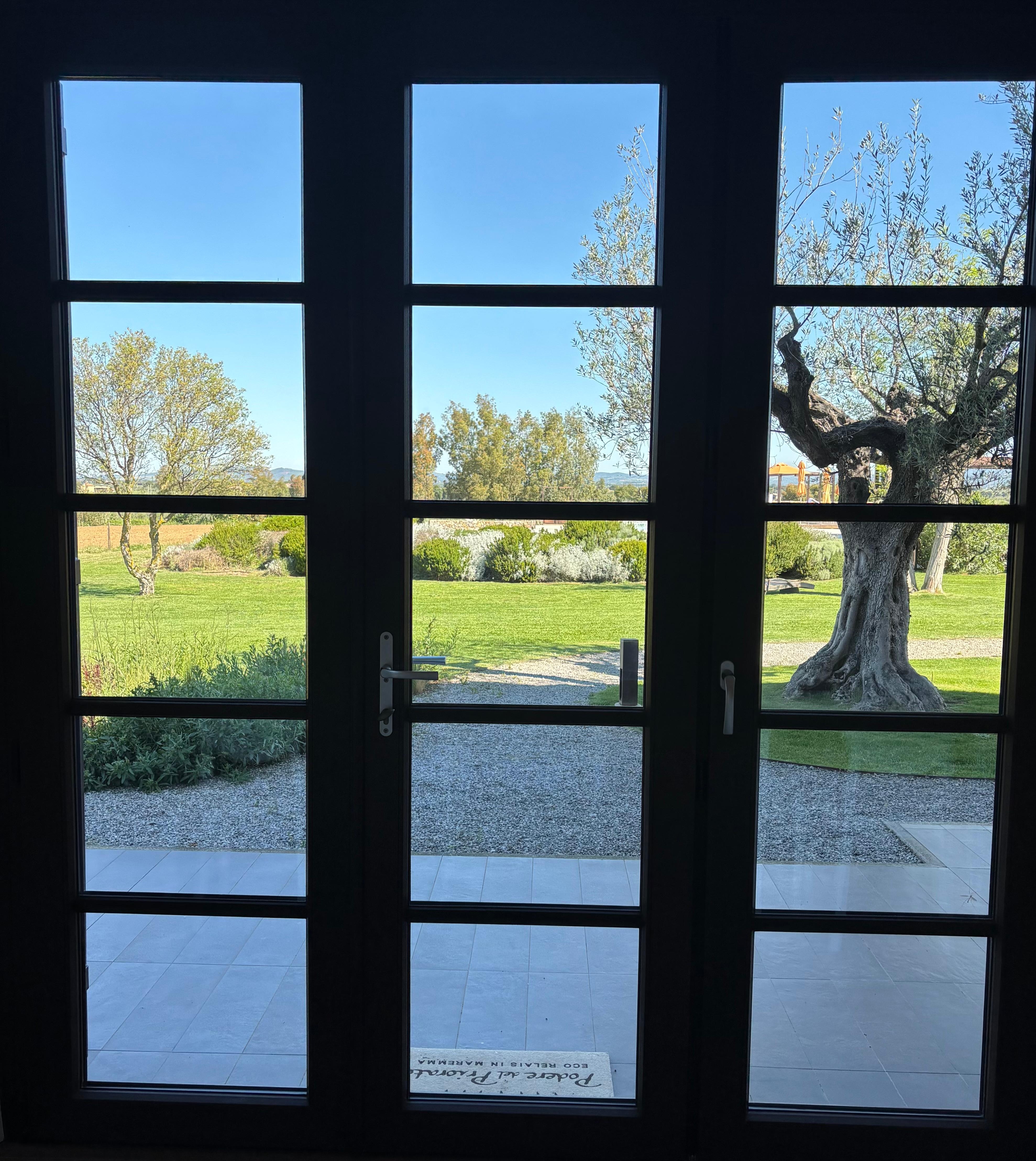 Our lovely garden view 