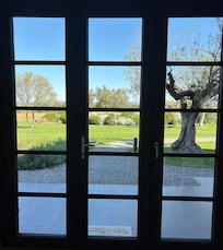 Our lovely garden view