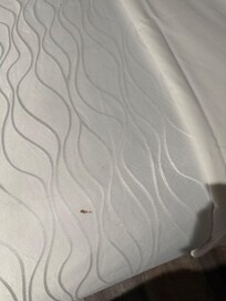 This is what I see when I walked into the room.