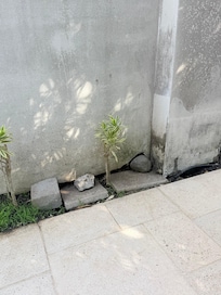 There were animals living under my room. They covered holes with rock, but it didn’t help problem.