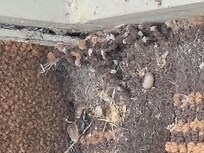 Debris in the corner