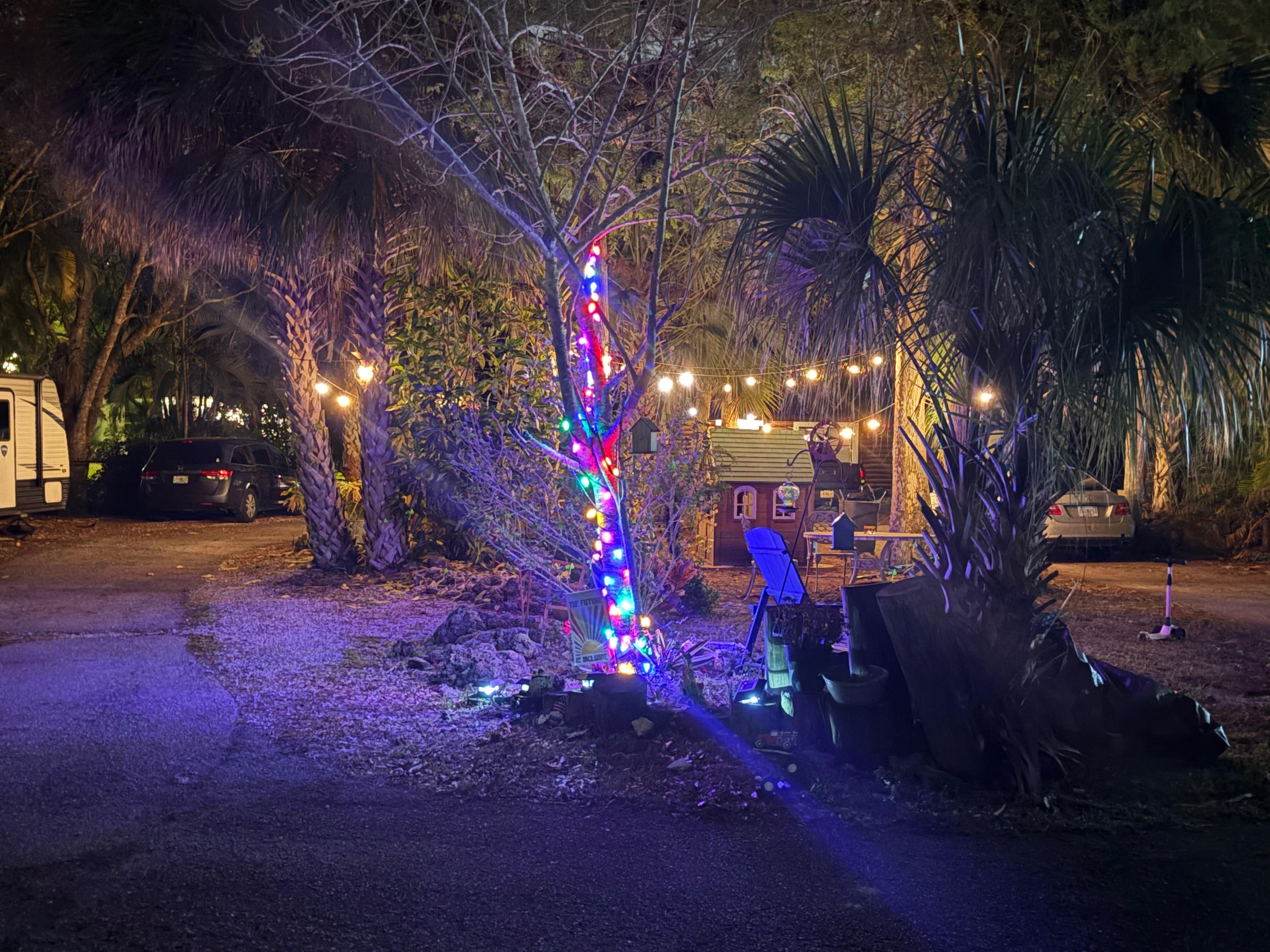 The fun outdoor area! 