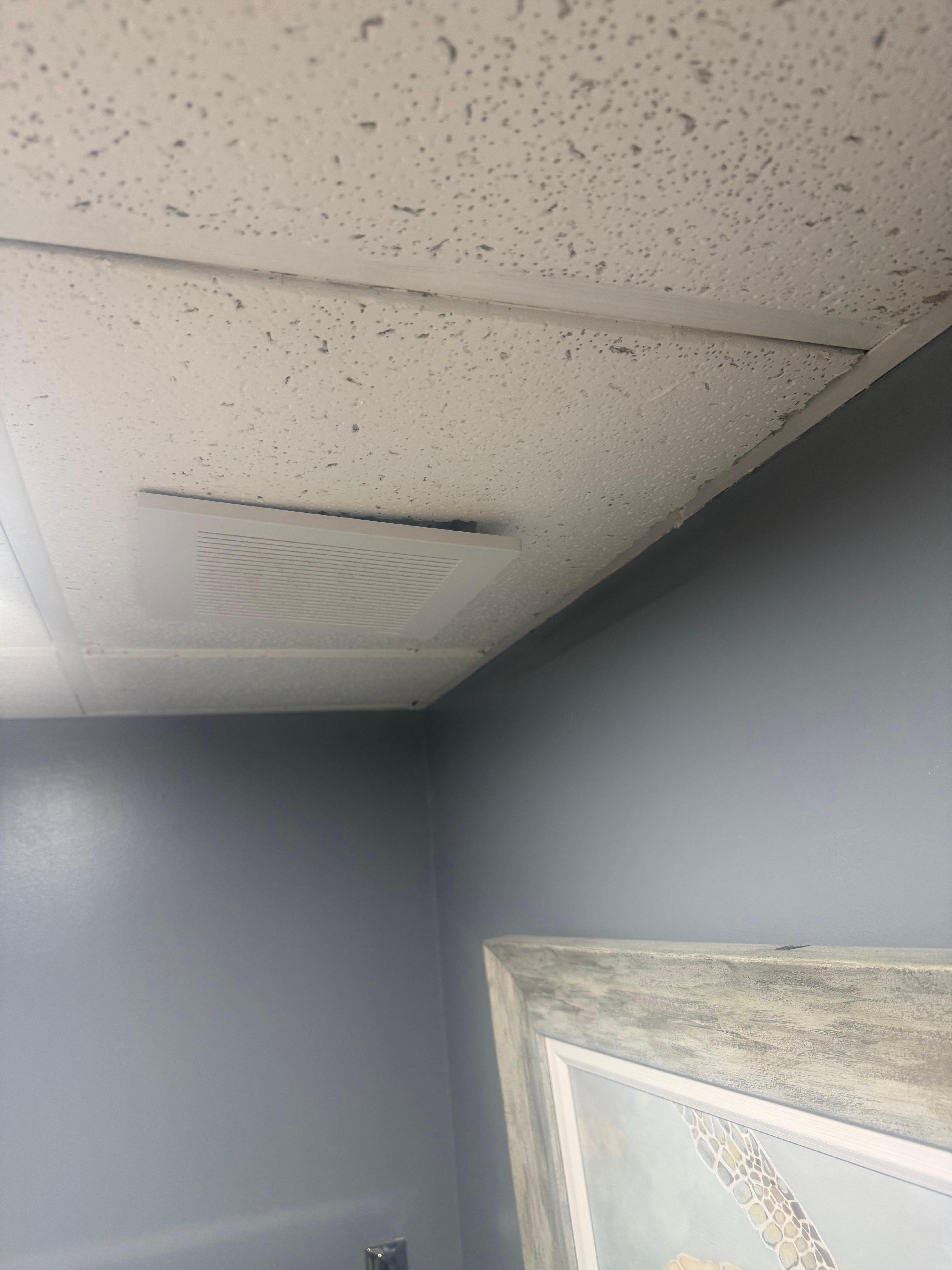 Bowing ceiling and vent in master bath. 