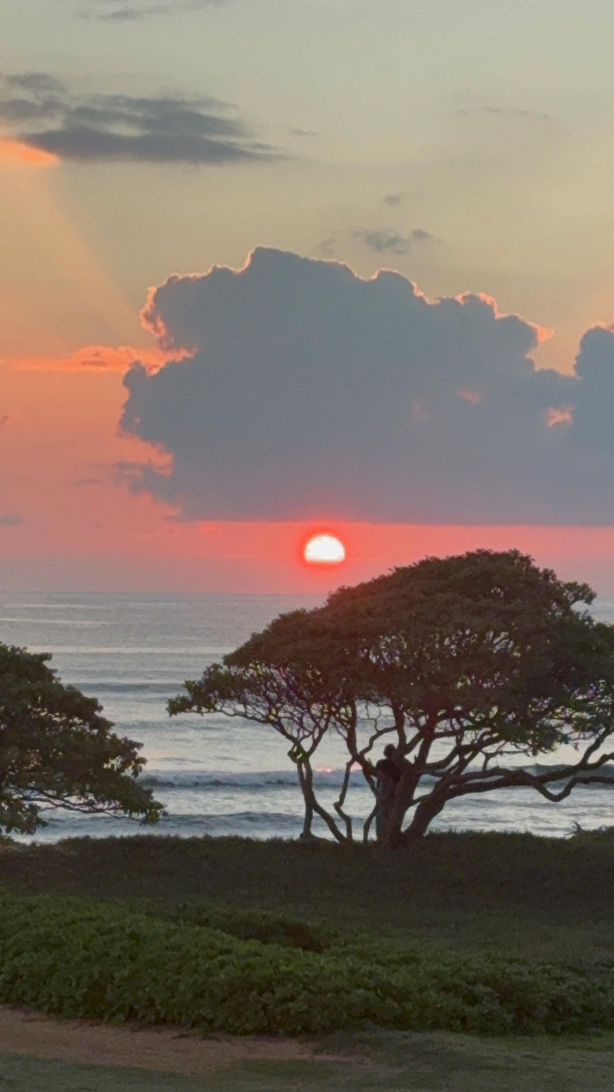 Beautiful sunset from our  balcony.