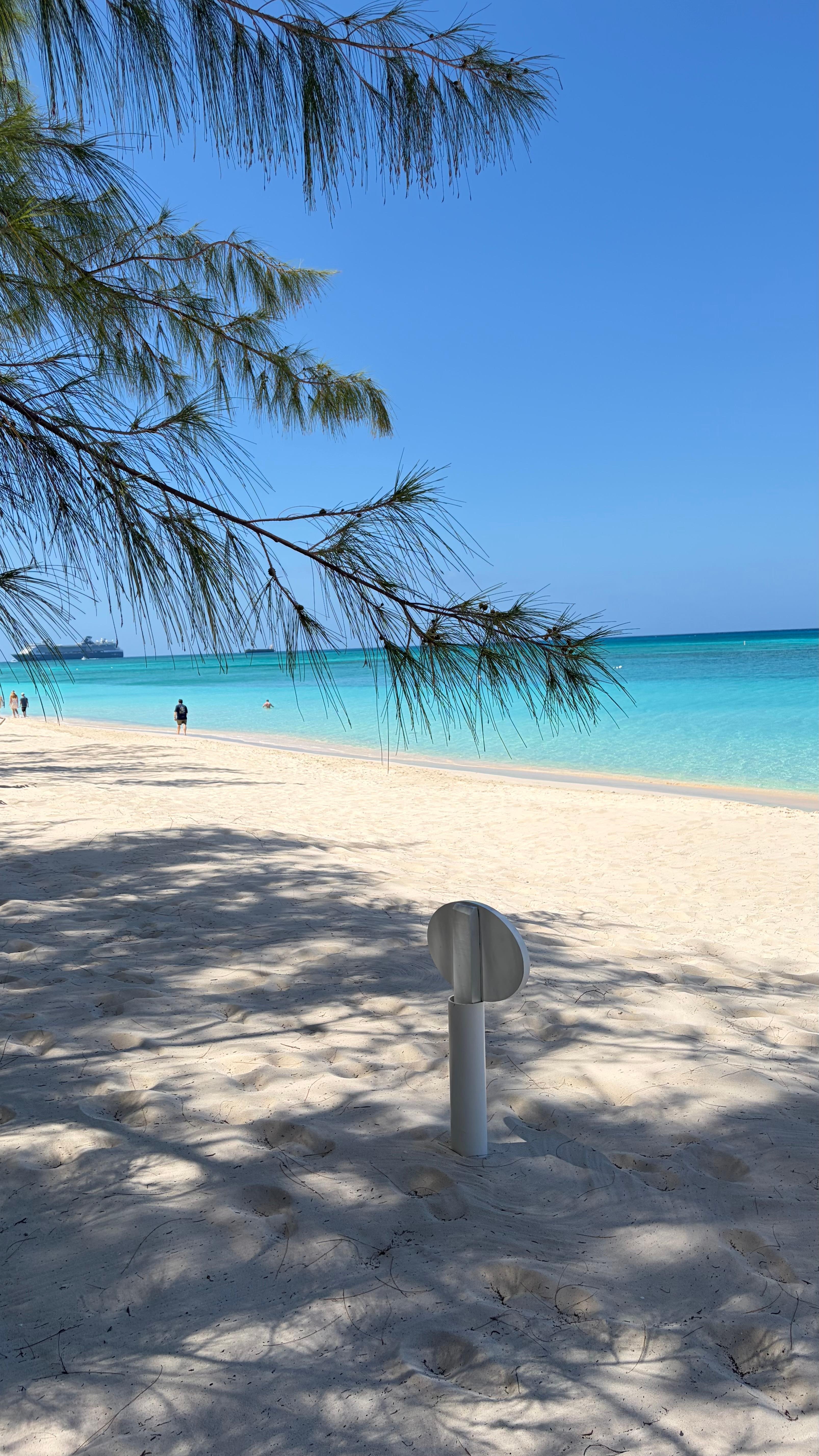 Beautiful huge trees for shade. 