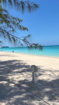 Beautiful huge trees for shade.