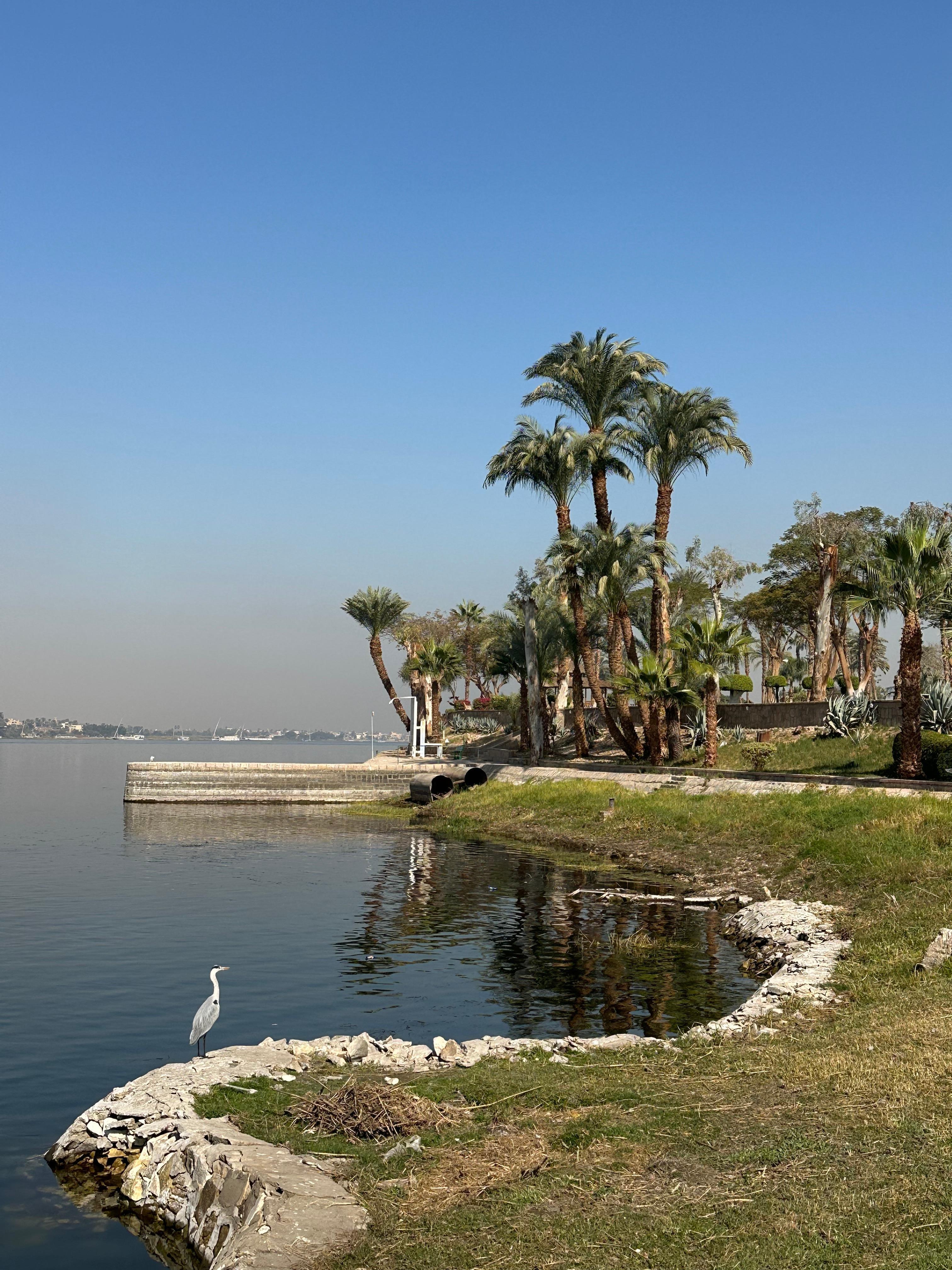 Nile view from breakfast