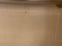 Coulis sur le mur (douche que nous n’avons pas utilisée)