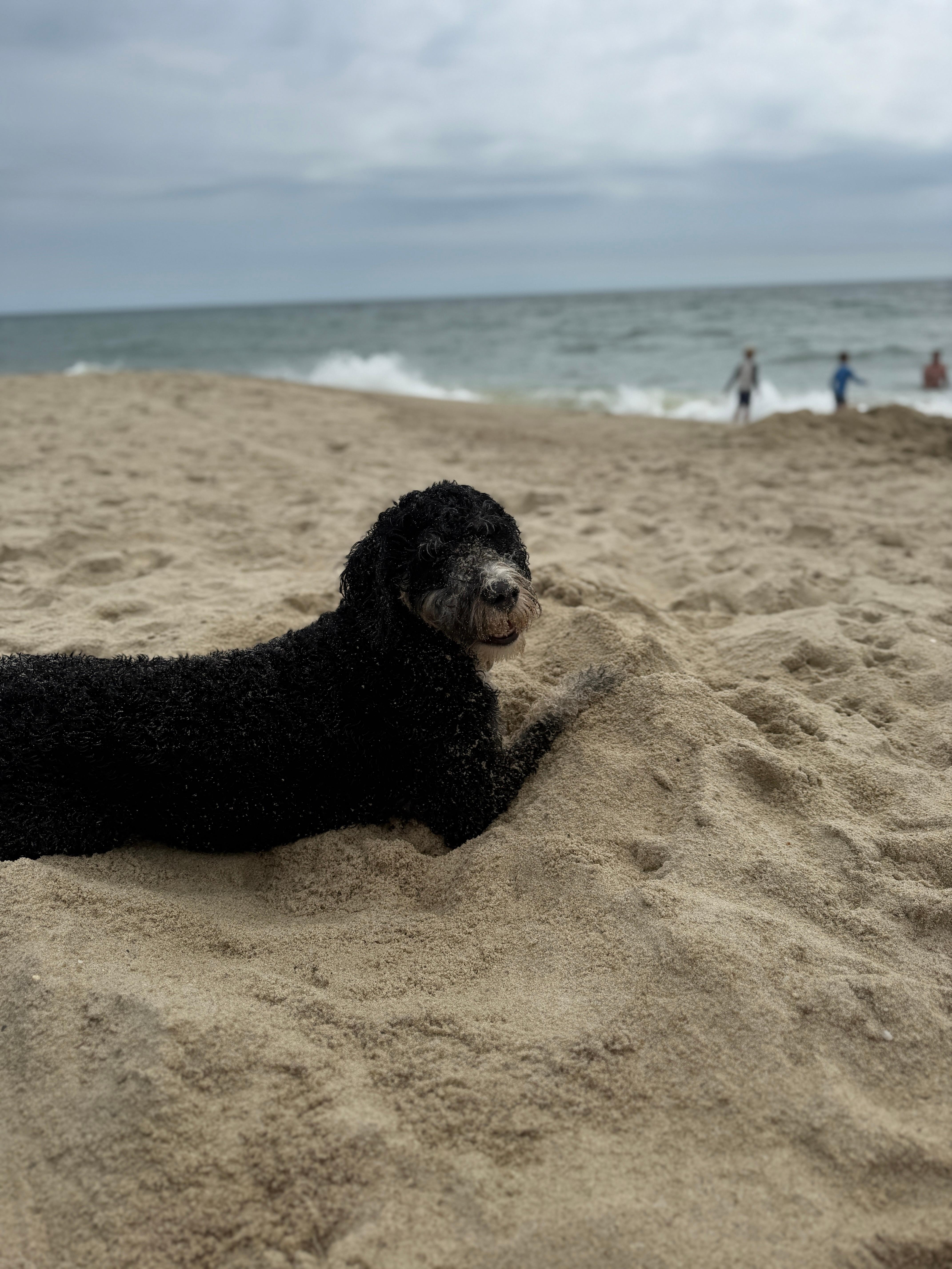 The beach in front of the house on a normal day 