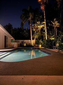 Backyard oasis